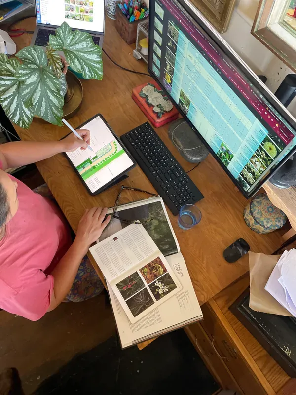 Landscape design project